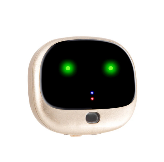 Kids GPS Tracker